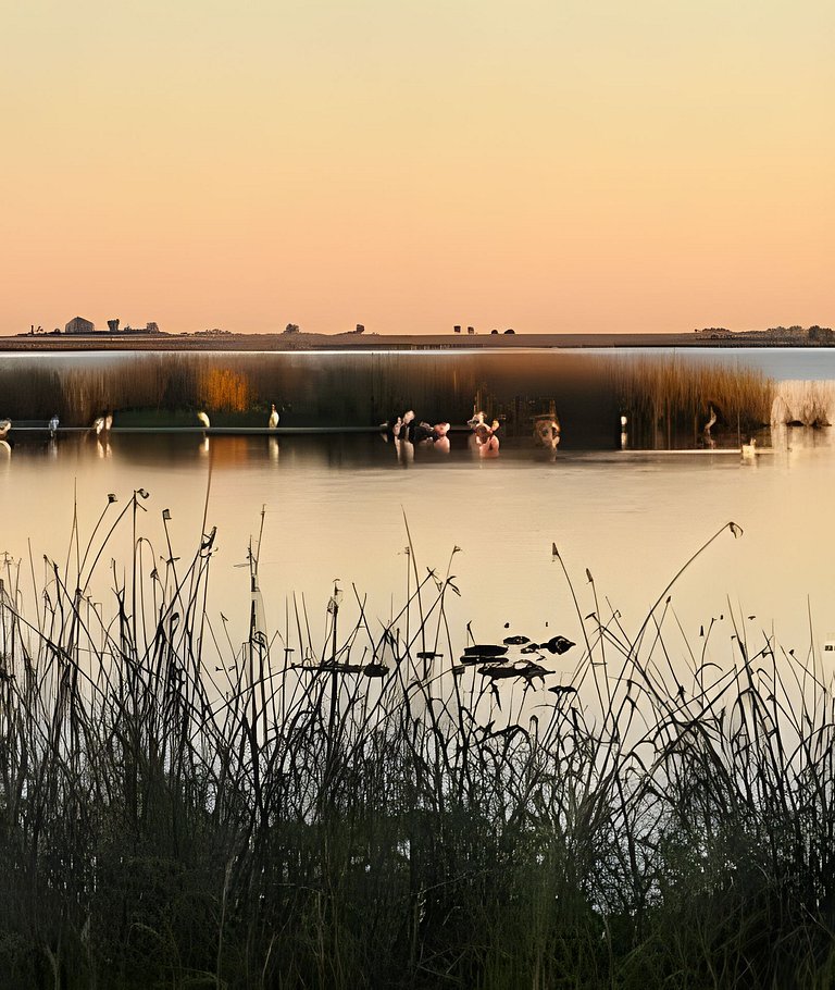 La Pancha - Casa de Campo