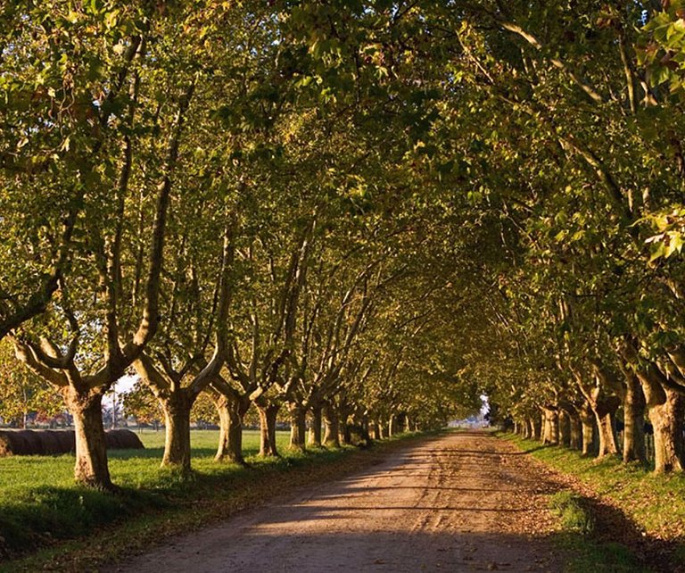 Rincón de Paz - Estancia Villa Maria