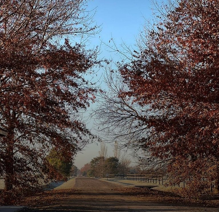 La Pancha - Casa de Campo